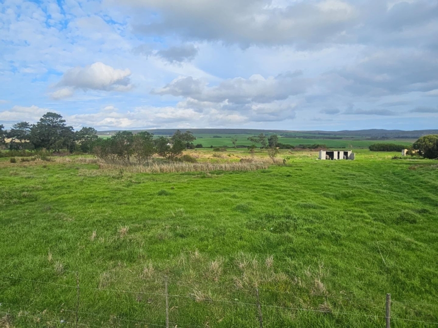 Commercial Property for Sale in Baardskeerdersbos Western Cape